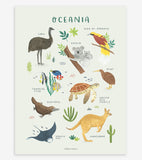 LIVING EARTH - Lasten juliste - Oseanian eläimet