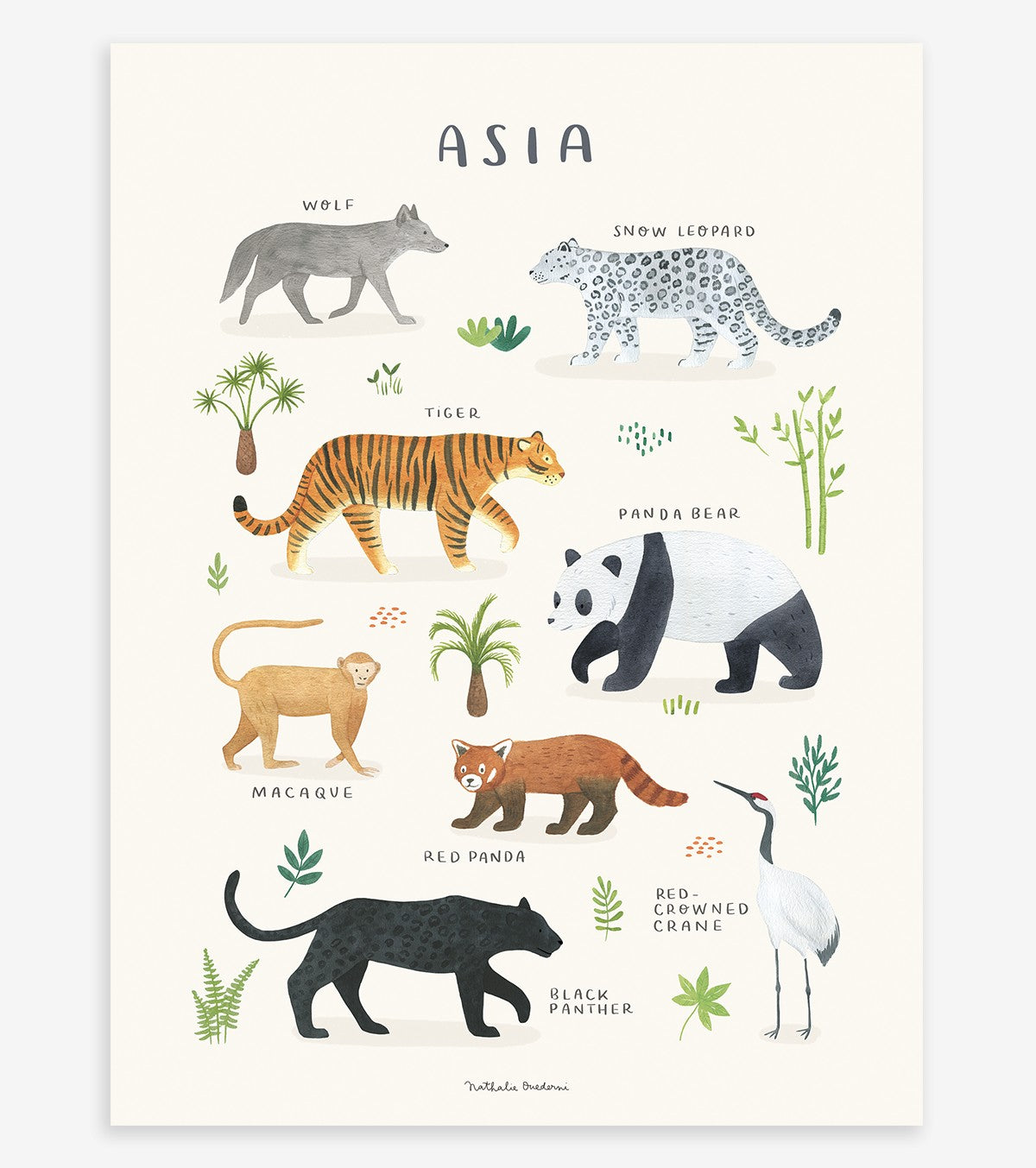 LIVING EARTH - Lasten juliste - Aasian eläimet