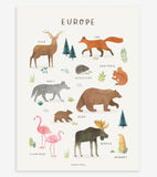LIVING EARTH - Lasten juliste - Euroopan eläimet